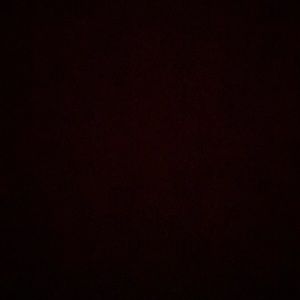 Meet your Posher, Brie